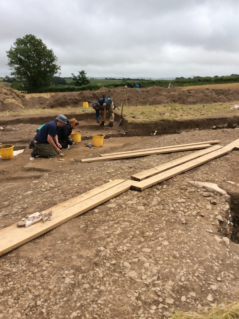 Excavations in trench 7