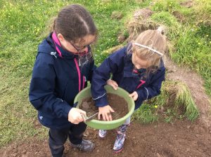Sieving the topsoil