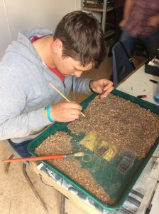 Student Josh carefully looking for grains